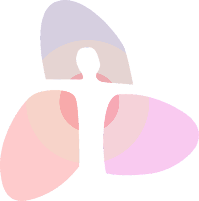 标识 图标 健康 - 免费矢量图形Pixabay - Pixabay