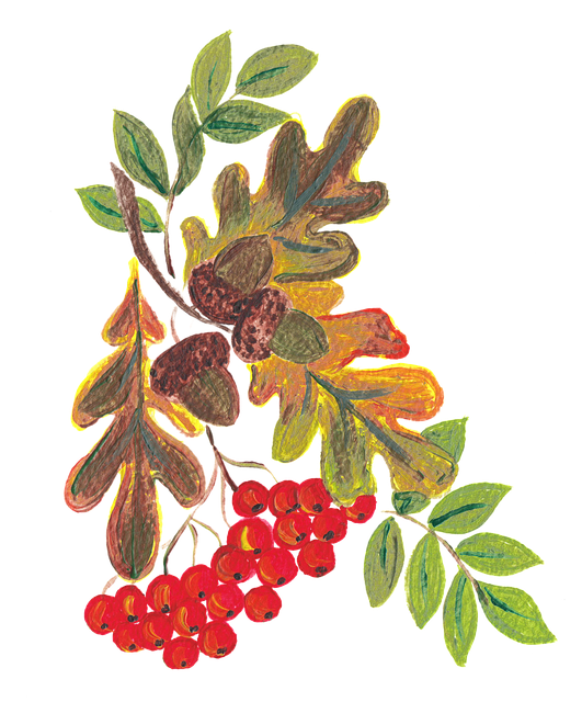 Vogelbeeren, Eichel, Blätter, Herbst