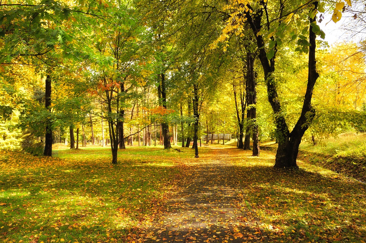 Jesienny Krajobraz Jesie Park Darmowe Zdj cie Na Pixabay