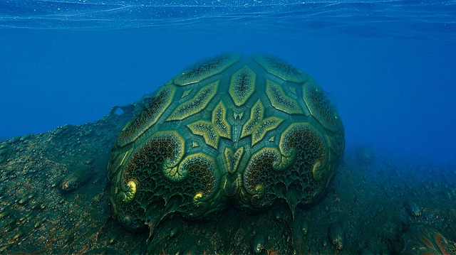 Free underwater coral sponge illustration
