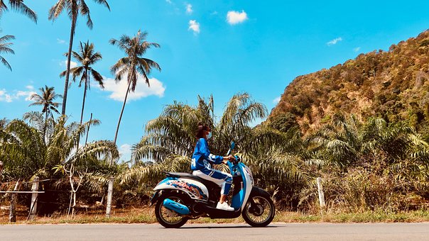 Motorrad, Roller, Palmen, Tropisch