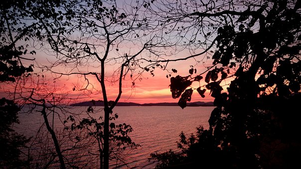 Sonnenuntergang, Tropen, Bäume, Blätter