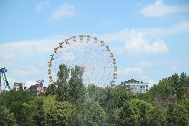 Free Ferris Wheel Carnival photo and picture