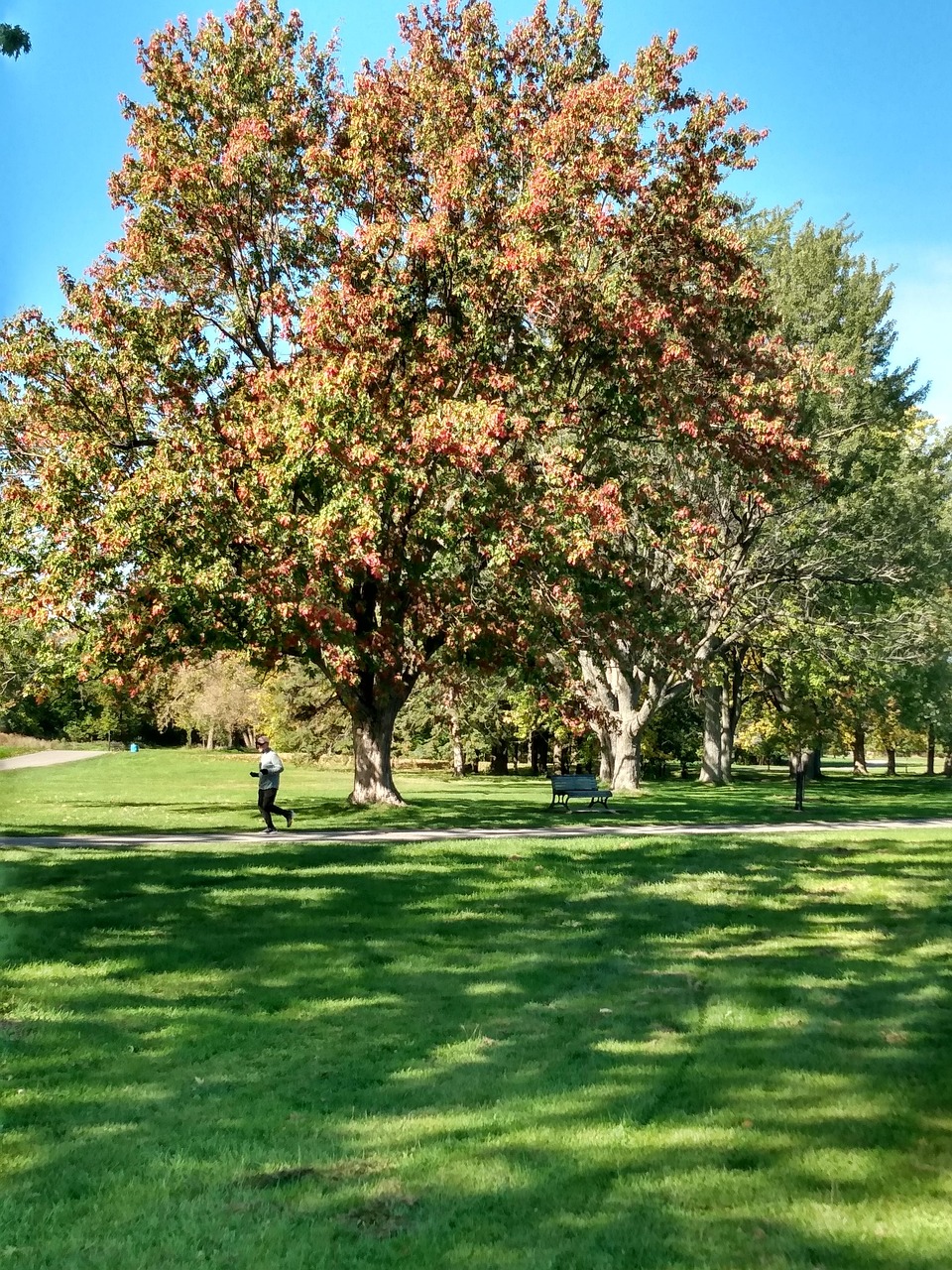 Automn Nature Landscape - Free photo on Pixabay - Pixabay