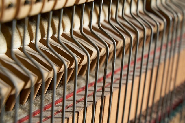 Free Piano Piano Action photo and picture