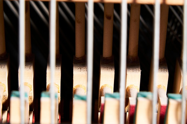 Free Piano Piano Action photo and picture
