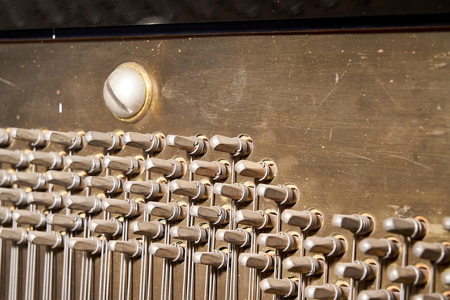 Free Piano Piano Action photo and picture