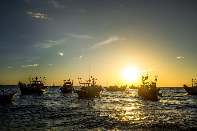Free Boats Sea photo and picture