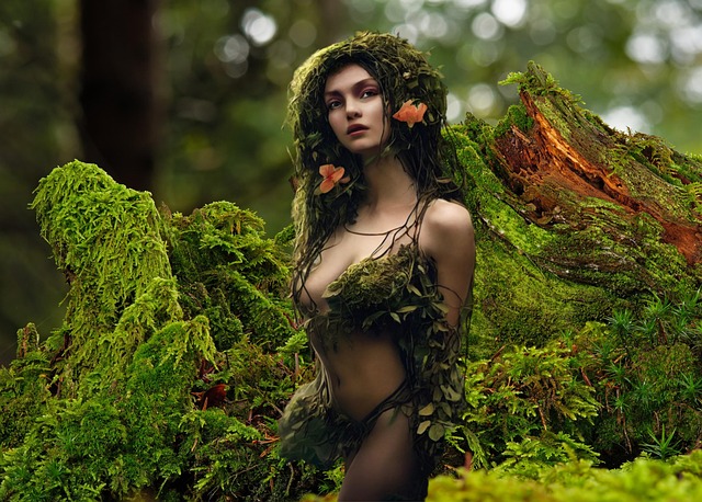 Free forest elf woods fantasy illustration