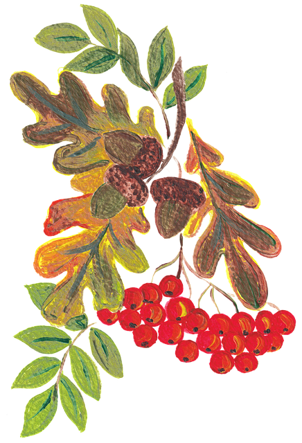 Download free HD stock image of Rowan Berries Fruits Free rowan berries fruits painting vector