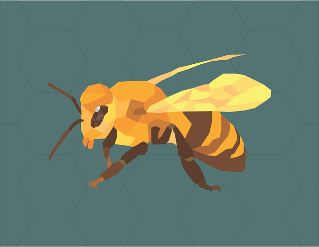 Bi, Insekt, Polygonal, Dyr, Tapet, Natur