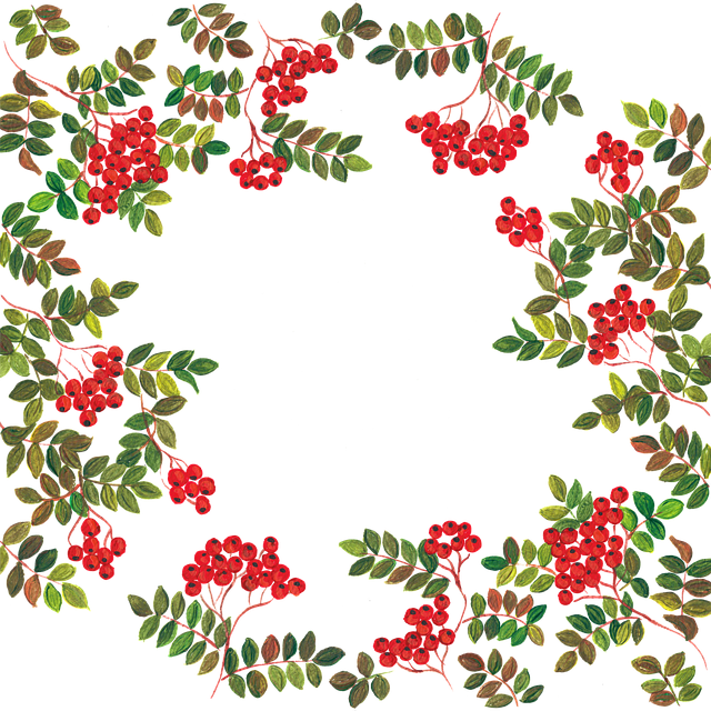 Download free HD stock image of Rowan Berries Frame Free rowan berries frame border vector