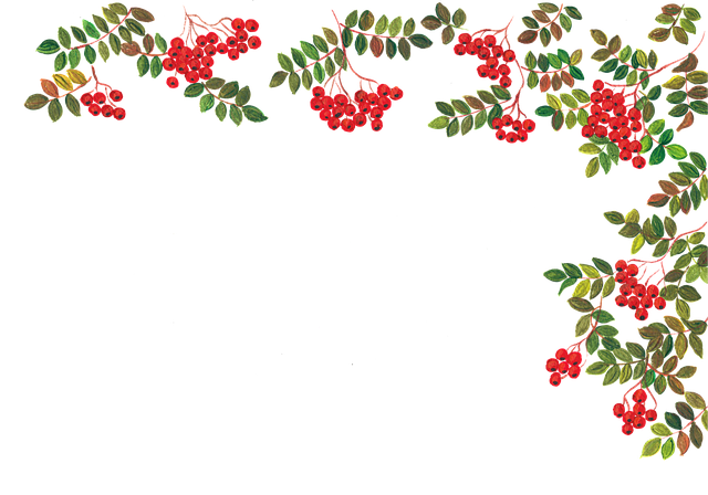 Rowan Berry, Vogelbeeren, Eberesche