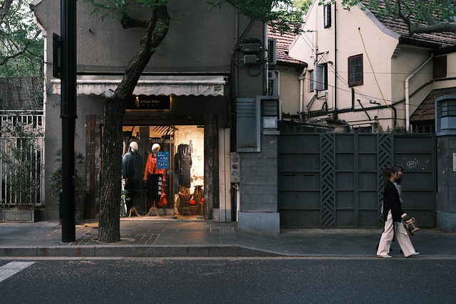 Free Shanghai Street photo and picture