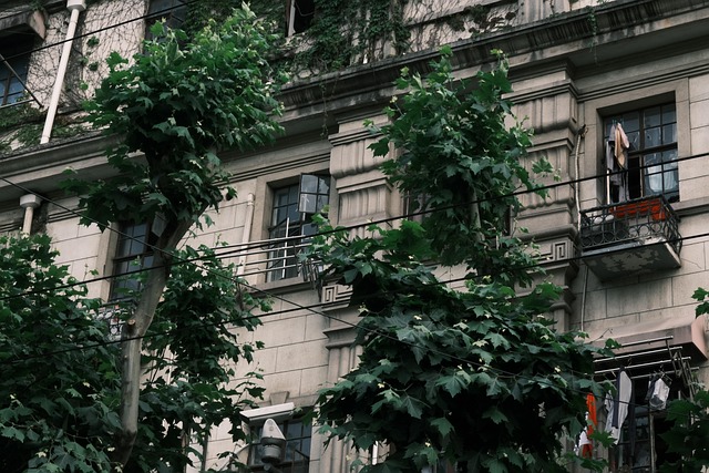 Free Shanghai China photo and picture