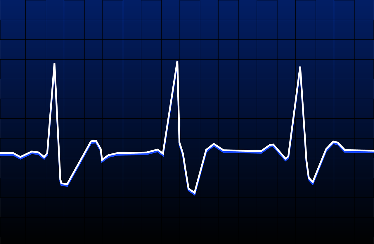 100 + 무료 Heart Rates & 심박수 이미지 Pixabay