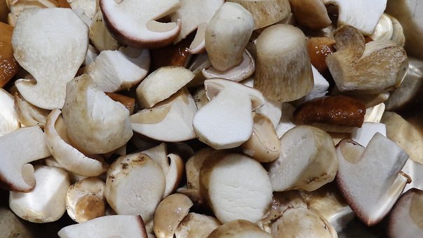 Pilze, Lebensmittel, Bewahrt, Gläser