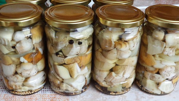 Pilze, Lebensmittel, Bewahrt, Gläser