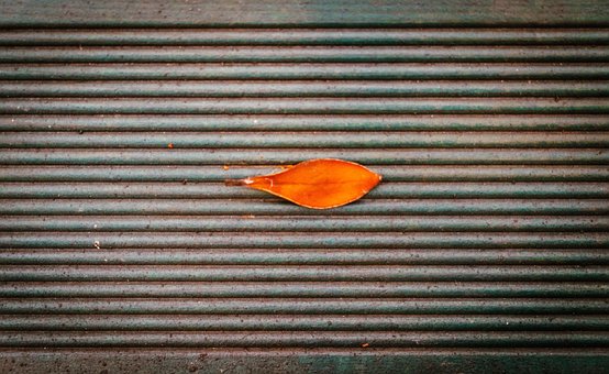 Free Autumn Nature photo and picture