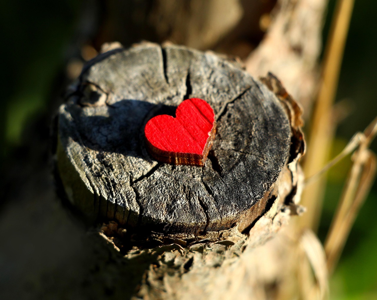 Heart Red Wood - Free photo on Pixabay