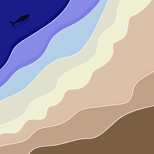 Wasser, Meer, Strand, Küste, Hai, Wal