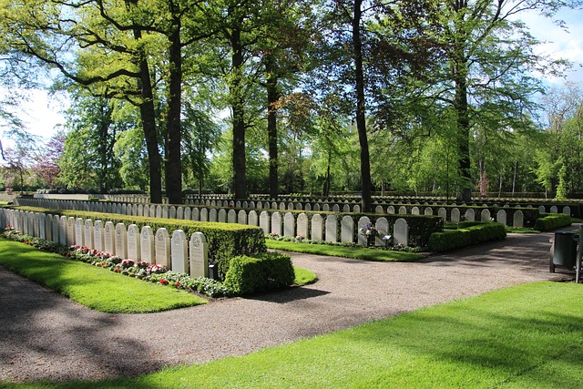 Free Grebbeberg Military Plot War photo and picture