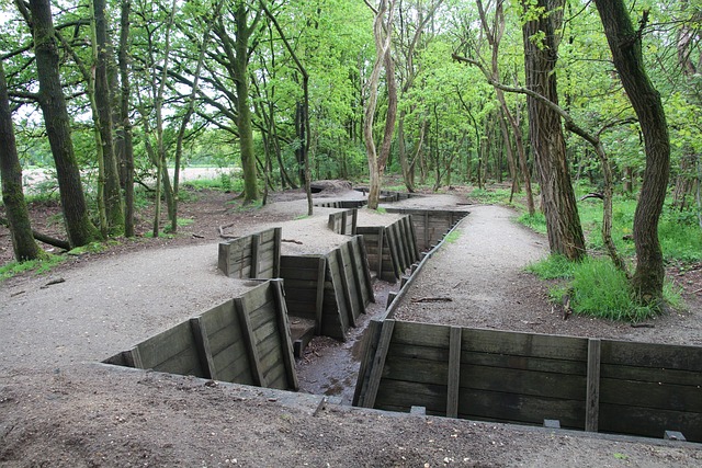 Free Trenches Grebbeberg photo and picture