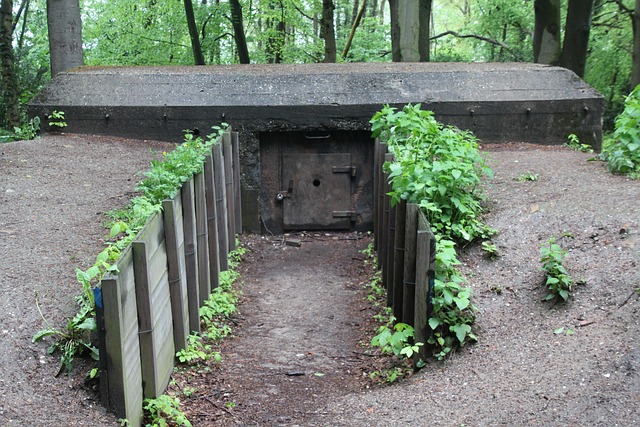 Free Casemate Grub Line photo and picture