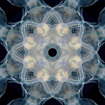 Free Art Kaleidoscope illustration and picture