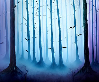Free Forest Woods illustration and picture