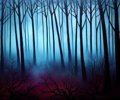Free Forest Woodland illustration and picture