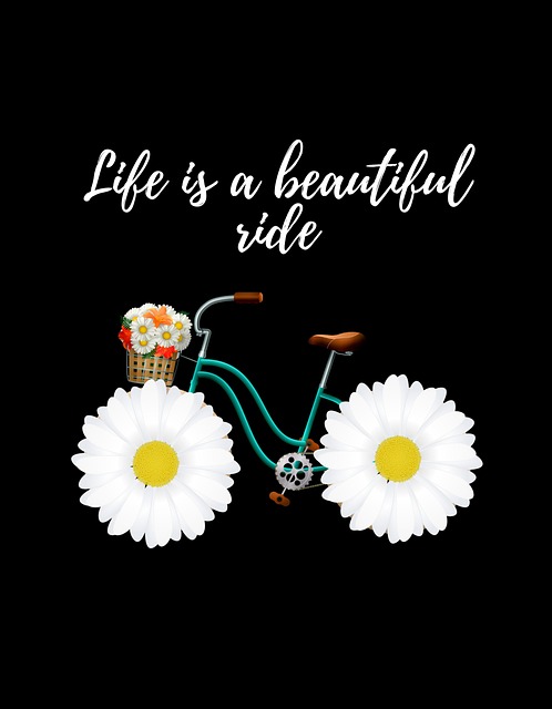 Free Flower Bicycle photo and picture