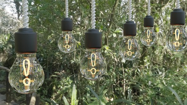 Birne, Licht, Idee, Wald, Ausruf