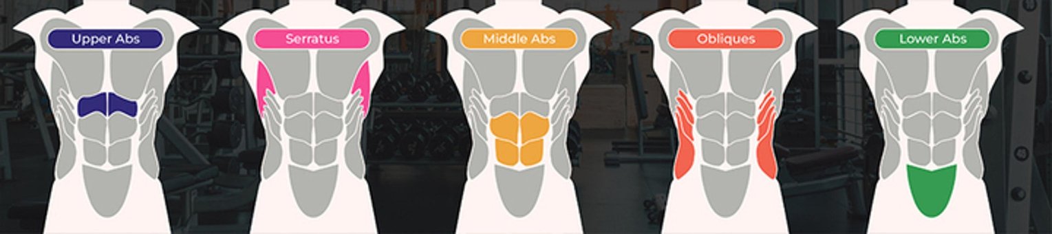 Free Serratus Middle Abs photo and picture