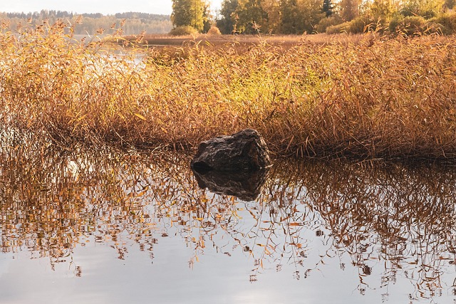Free Rock Water photo and picture