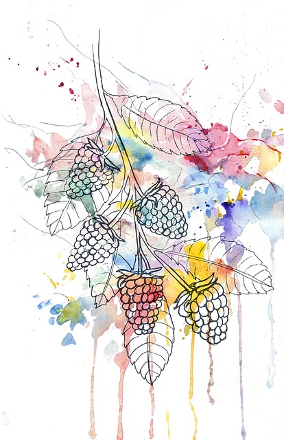 Free raspberry drawing berries illustration
