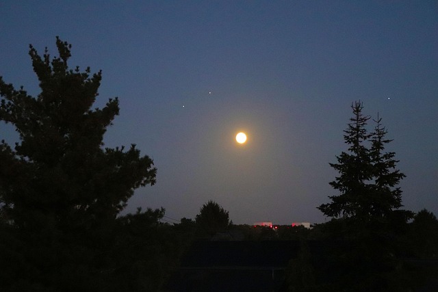 Free Moon Night photo and picture