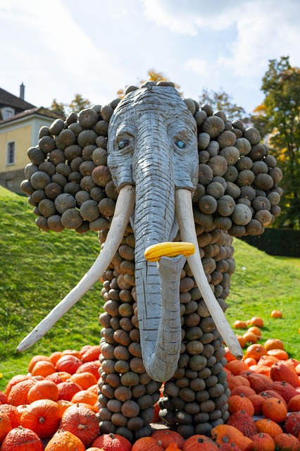Free Pumpkin Halloween photo and picture