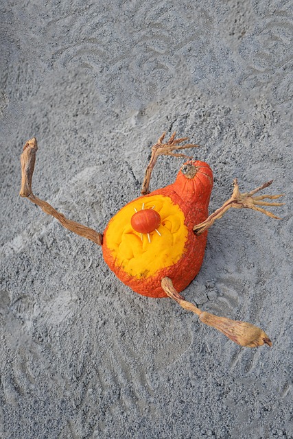 Free Pumpkin Halloween photo and picture