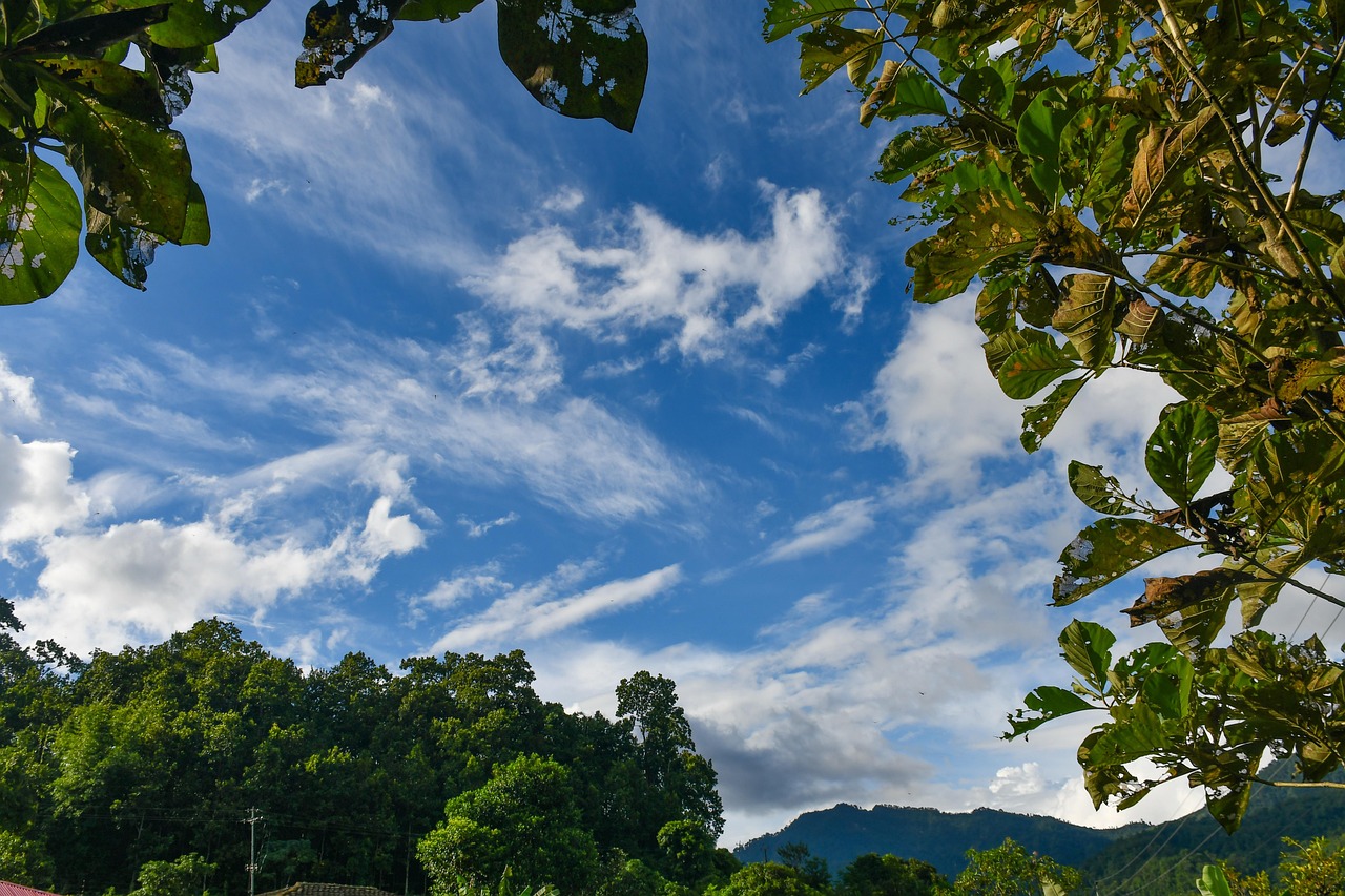 背景 美丽的 美丽 - Pixabay上的免费照片 - Pixabay