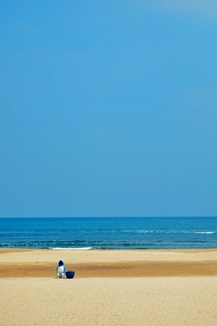 Hav, Natur, Sand, Strand, Skraldespand