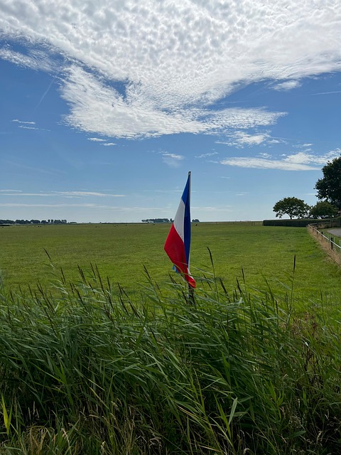 Flag, Landmand, Græsarealer