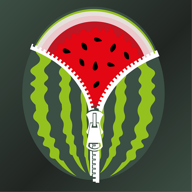 Free watermelon fruit fresh vector
