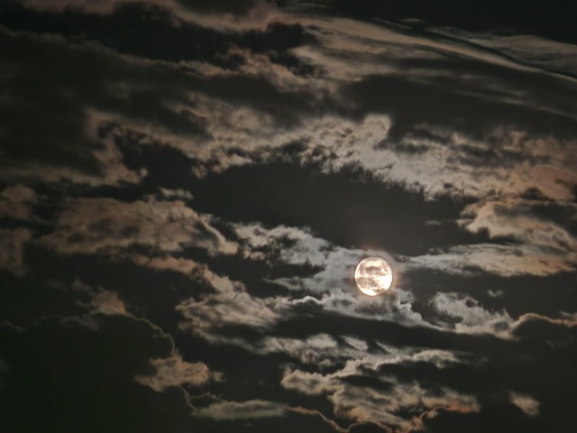 Free Moon Night photo and picture