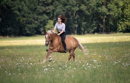 Free Woman Horseback Riding photo and picture