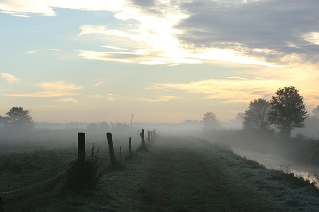 Free Sunrise Path photo and picture