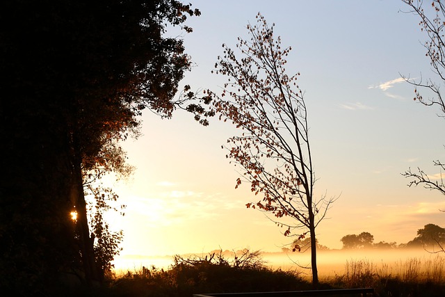 Free Sunrise Nature photo and picture