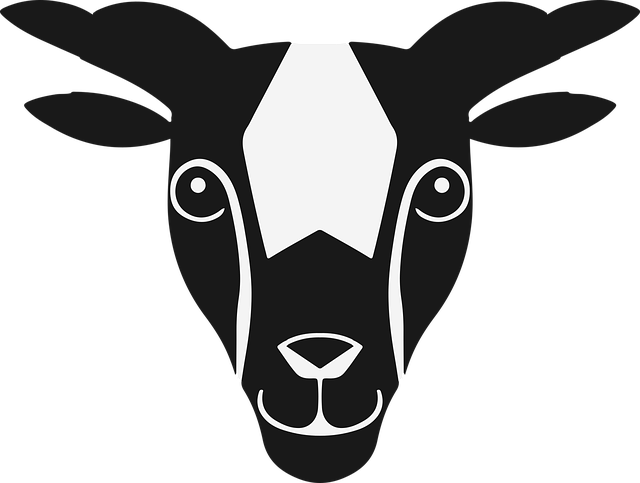 Ziege, Bergziege, Steinbock, Tier