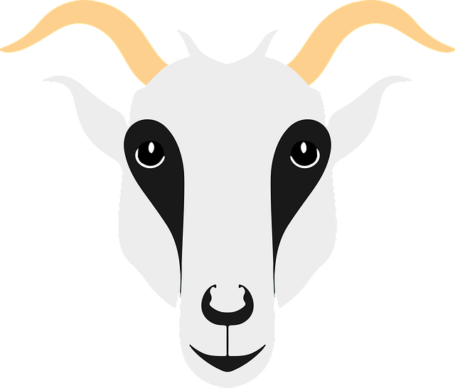 Ziege, Bergziege, Steinbock, Hörner