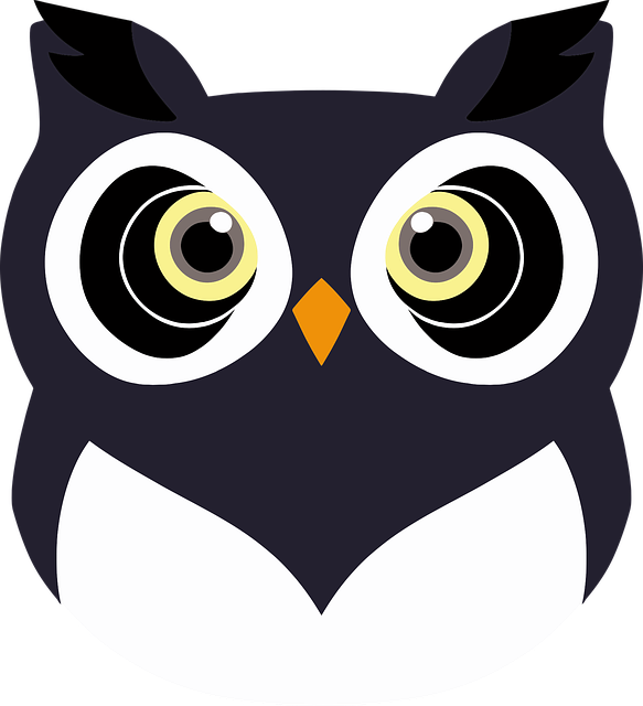 Free Owl Bird vector and picture